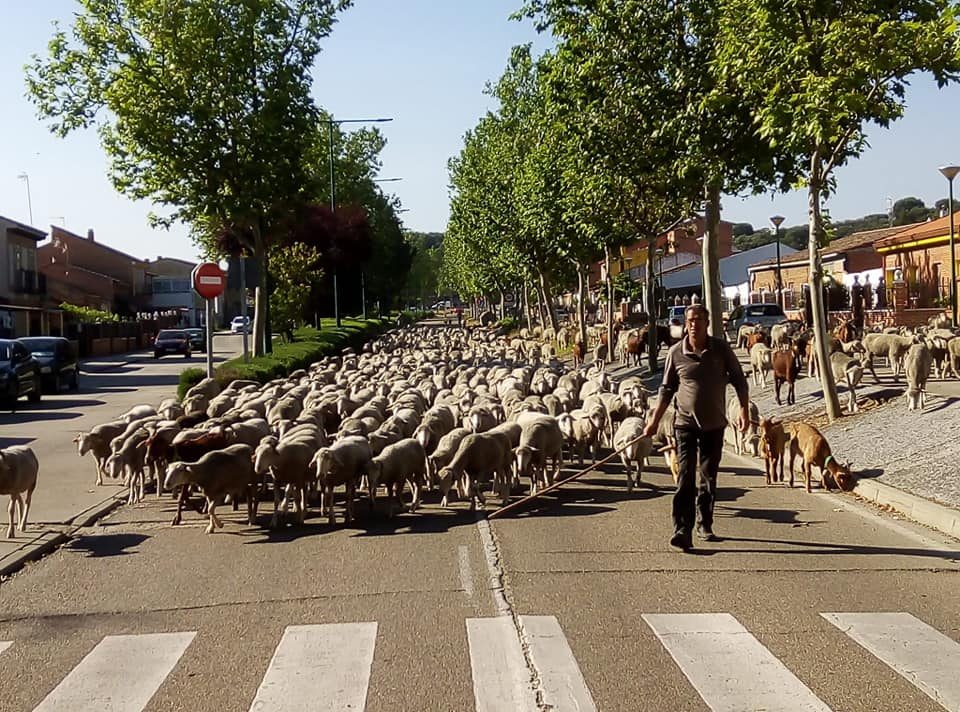 Trashumancia y Nauraleza